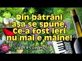 Download Lagu PETRECERE - NOAPTEA ASTA-I PREA FRUMOASĂ, CA SĂ ŢI-O PETRECI ACASĂ - UNIVERS