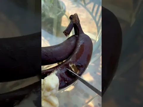 PISANG BUSUK !!