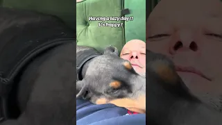 #fyp #vlog #dream #pets #doberman #