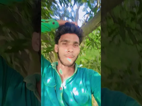 B Praak x jaani Dil💔kaat🥹😘 ke#newsong #music #shortsfeed  #youtube #story #love #shere #bolleywood