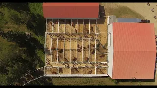 2024 World Simmental Fleckvieh Congress at Anchor D Ranch
