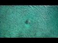 Ross Quinn & Rules - Holding On To You (Visualizer) [Helix Records]