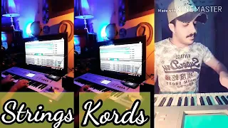 تامر عاشور جيت علي كرامتي غناء محمود شريف  كيبورد كريم مرسي  سمعها