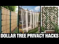Dollar Tree DIY Privacy Screen Hacks That Transformed My Backyard Affordable Privacy Ideas