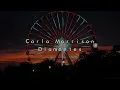 Carla Morrison - Diamantes | (Slowed + Reverb)