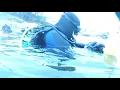 Diving - Biddeford Pool August 17 2019