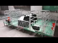 Farrowing Crate Piggery Pig cage