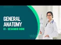 GENERAL ANATOMY - 01 SESAMOID BONE