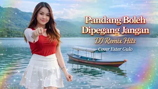 dj remix pandang boleh dipegang jangan lagu viral tiktok 2026 cover ester gulo