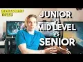 Junior vs Mid vs Senior level developers THE DIFFERENCES