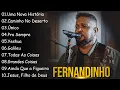 Download Lagu Uma Nova Historia , Caminho No Deserto,.. FERNANDINHO || Orações diárias e músicas gospel 2024
