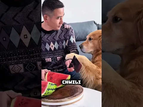 😍 Ten Piesek Jest Niesamowity! 🐶