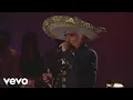Vicente Fernandez - Guadalajara En Vivo