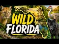 You Won t Believe These Animals Live in Florida