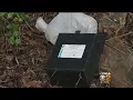 Cremated Remains Discovered On Hill District Roadside