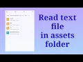 Read text file from assets folder