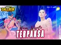 Download Lagu TERPAKSA - NOVI NOVITA NEW CALLISTA LIVE PEPELEGI SIDOARJO #2025