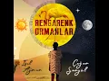 Rengarenk Ormanlar - Çağan Şengül & Işıl Ayman