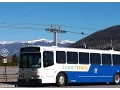 Exciting projects in store for Summit Stage transit services