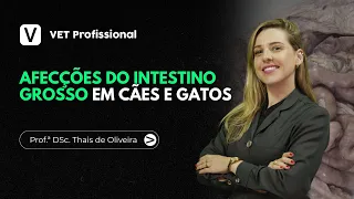 Gastroenterologia Veterinária: Afecções do Intestino Grosso em Cães e Gatos | VET Profissional