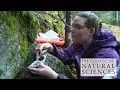 Science comes naturally at UMass Amherst