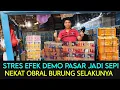 Download Lagu ✅STRES EFEK DEMO PASAR JADI SEPI SIGIT NEKAT OBRAL BURUNG SELAKUNYA DI PASAR BURUNG PRAMUKA HARI INI