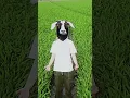 Download Lagu now i know what's real what's fake #tiktok #dreamcore