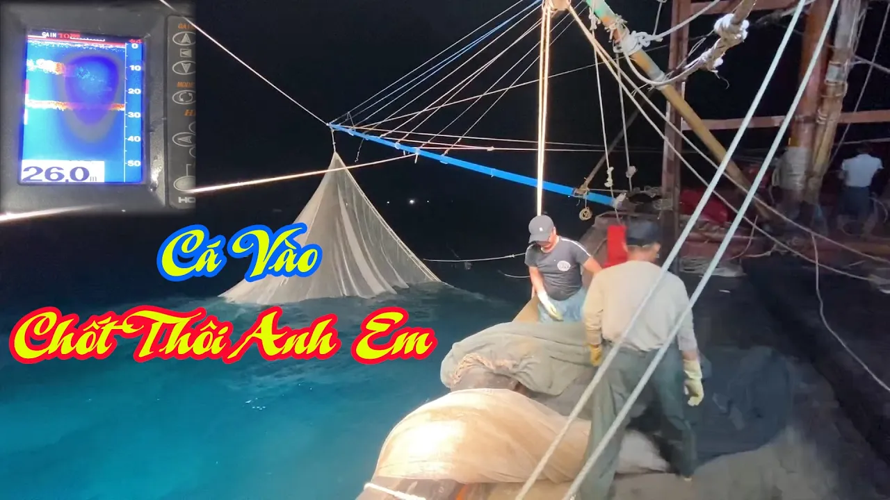 Mành chụp tôm mòi và giàn led khủng rời bến đà nẵng đi đánh cá sòng - Dân Biển