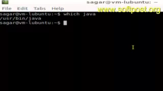 How to find where java is installed in Bash