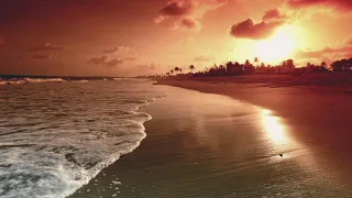 shortbass u0026 da bless a visit from sunrise original mix 2020 
