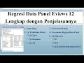 Ereviews 12 Panel Data Regression Complete with Explanation