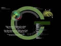 Coding Club Planets Code Planets Orbit Simulation Anthony Beckwith