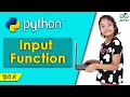 Python Programming Input function