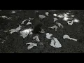 Feature film EROSION trailer