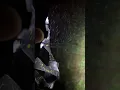EXHIB 449 Caught on Camera Real-Time Airborne Demolition Particulate