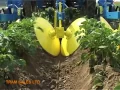 Download TRAM Spedo Potato Ridger mp4 3gp mp3 videos - waplic