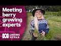 Visiting a multigeneration berry farm in Tasmania Discovery Gardening Australia