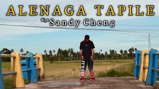 Download LAGU BUGIS TERBAIK - ALENAGA TAPILE - SANDY CHENG - Voc AIDIL ZHIMICHU MP3