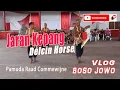 Download Lagu Jaran Kepang Delcin Horse - Vlog Jowo Songko Suriname
