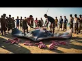 Download Lagu Adegan Mengerikan Perburuan Ikan Pari Raksasa Berbobot Berton-ton, Berburu Ikan Pari Besar di Ata...