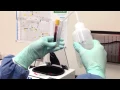 Specimen Processing 1