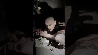 مصاص الدماء مارت محمد 