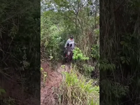 caiu no barranco