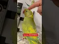 Download Lagu The “BeepBeep” button is lagging😂 #talkingparot #birds #parrots #shorts