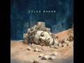 Çölde Bahar