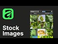 How to Use Free Stock Images in Affinity 3