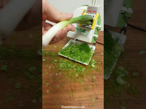 Japanese green onion cutter. Cooking chicken curry ramen