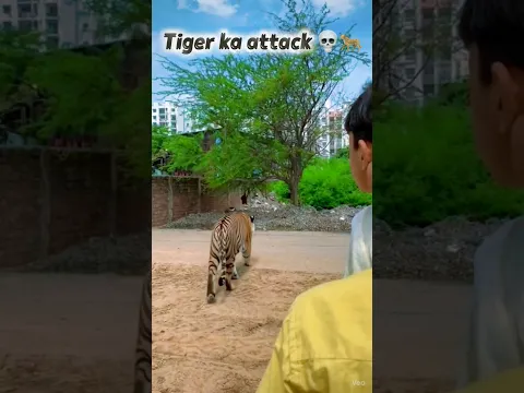 Baj Gaya Yaar Tiger tha 🐆🤣😃 #shorts # #funny #ai #trending # #alislook01