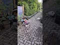 Download Lagu 3 PERTANDA JIKA.KUCING MELAHIRKAN DIRUMAH KITA