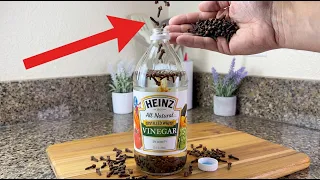 Cloves in Vinegar? You Need to See What Happens Next! 🤯